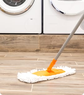 This is a photo of squeegee mop